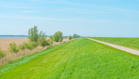Road on a dike along a lake