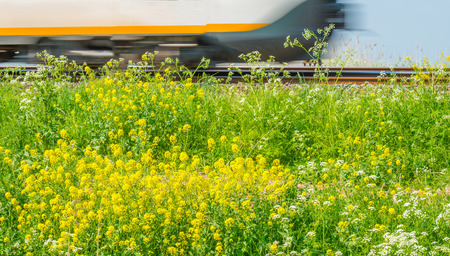 Train riding through nature in springの写真素材