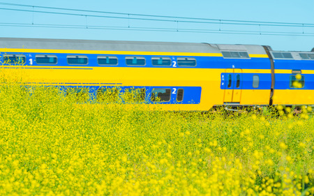Train riding through nature in summer