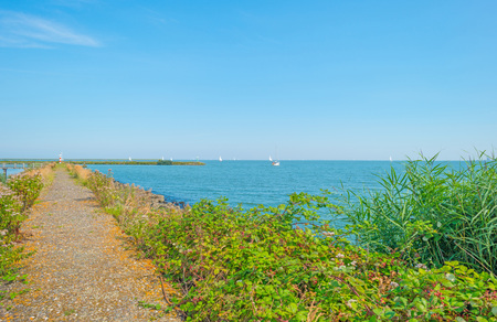 Jetty at a marina in summer