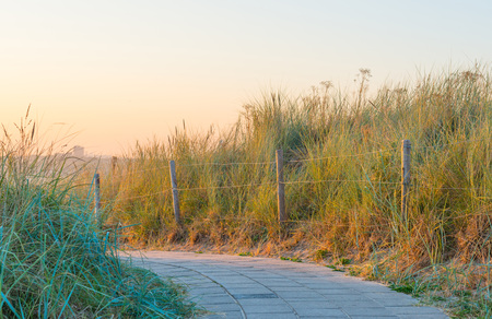 Dunes in the light of sunrise in summer