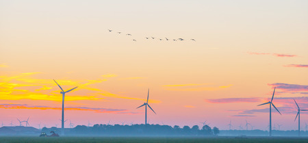 Wind turbines in a field at sunrise