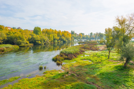 River through the city of Salamancaの写真素材