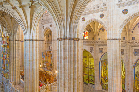 Detail of the medieval cathedral of Salamancaのeditorial素材