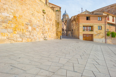 View of the historic city of Salamancaのeditorial素材