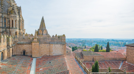 Detail of the medieval cathedral of Salamancaの写真素材