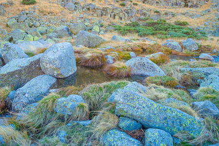 Hills of natural park Sierra de Gredosの写真素材