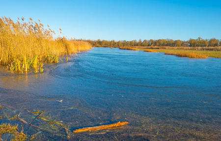 Shore of a frozen lake in sunlight in autumn
