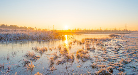 Shore of a frozen lake in sunlight in winterの写真素材