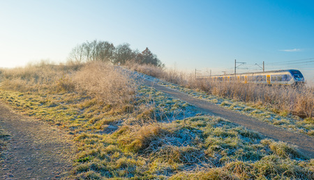 Path through a frozen field at sunrise in winterの写真素材