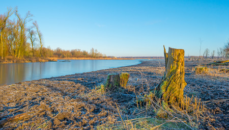 Shore of a frozen lake at sunrise in winterの写真素材