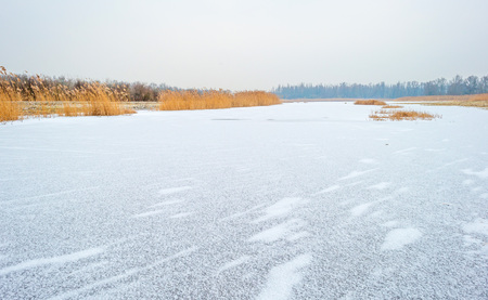 Shore of a frozen lake in winterの写真素材