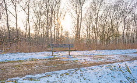 Path in a frozen field in winterのeditorial素材