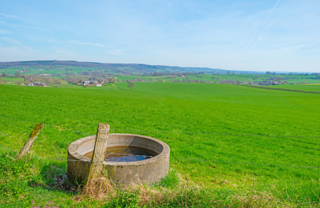 Panorama of a sunny green meadow on a hillの写真素材