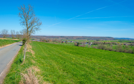 Panorama of a sunny green meadow on a hillの写真素材