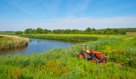 Derelict old tractor in a field in summerの写真素材