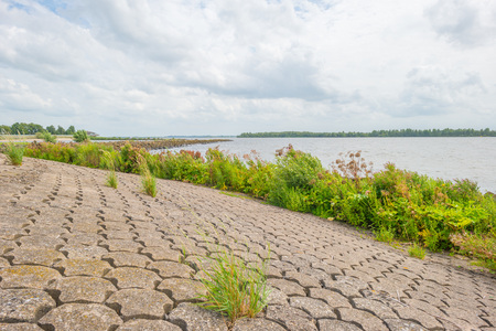 Coastline of basalt stones along a lake in sunlight in summerの写真素材