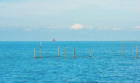 Sailboat sailing on a lake in sunlight in summerの写真素材