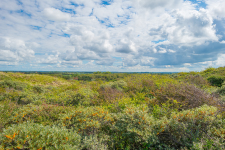 Landscape of dunes below a blue cloudy sky in summerの写真素材