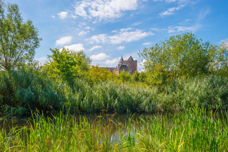 Landscape with a castle in sunlight in summerのeditorial素材