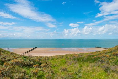Sand dunes along a beach in sunlight in summerの写真素材