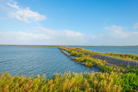 Dike along the shore of a lake in sunlight in summer