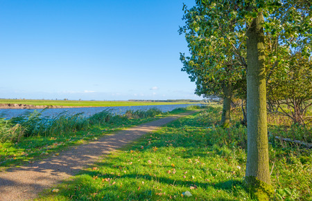 Shore of a lake below a blue sky in autumn