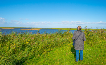 Sunlit trees below a blue sky in autumnの写真素材