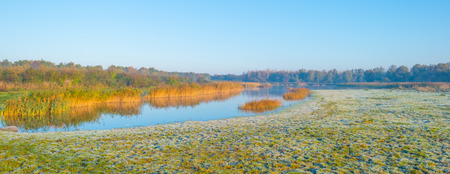 Edge of a foggy lake at sunrise in autumnの写真素材
