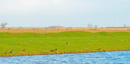 Edge of a lake in sunlight to fallの写真素材