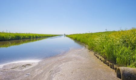 Canal in the countryside in sunlight in spring