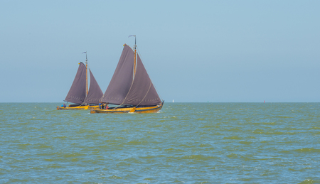 Sailboats sailing in a lake below a blue sky in summer