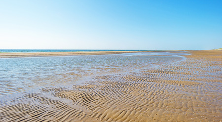 Beach along the North Sea under blue sky in sunlight in summerの写真素材