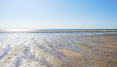 Beach along the North Sea under blue sky in sunlight in summerの写真素材