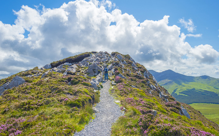Panorama of mountains, marshy land and heathland or Connemara National Park in Ireland in summerの写真素材