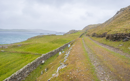 Panorama of the coast of an irish island at the atlantic ocean in summerの写真素材