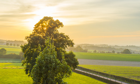 Rural landscape in autumn colors in sunlight at fallの写真素材