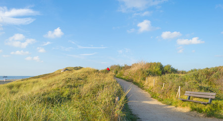 Sand dunes along the north sea coast at sunriseの写真素材