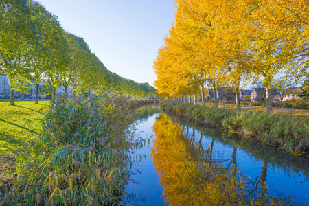 Trees in fall colors along a canal in a residential area in sunlightの写真素材
