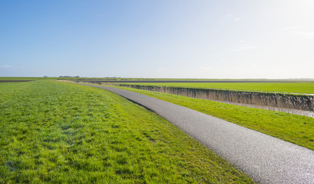 Path in a green field along a canal in sunlight below a blue sky in winterの写真素材