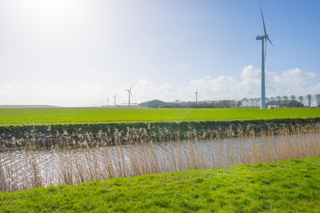 Canal in a green meadow below a blue sky in sunlight in winter
