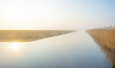 Canal in a foggy field below a blue sky at sunrise in springの写真素材