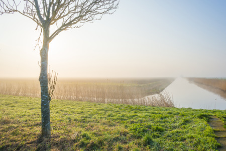Canal in a foggy field below a blue sky at sunrise in springの写真素材