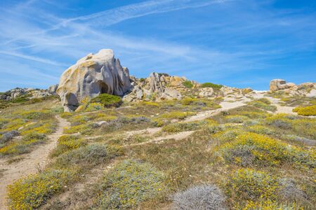 Scenic landscape or green hills and rocky mountains or the island of Sardinia in spring