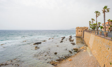 Rocky coast of the island of Sardinia in the Mediterranean Sea in sunlight in spring