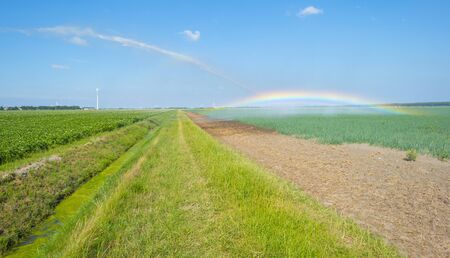 Rainbow in a field with vegetables irrigated by a traveling sprinkler in sunlight in summerの写真素材