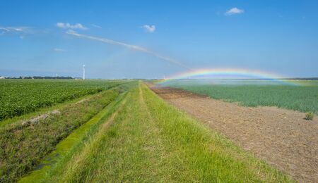 Rainbow in a field with vegetables irrigated by a traveling sprinkler in sunlight in summerの写真素材