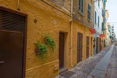 Colorful houses in the alleys of the town of Bosa in Sardinia in sunlight in spring