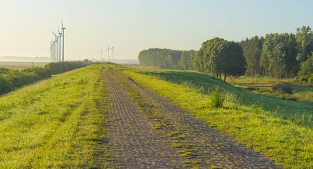 Green dike in a foggy landscape below a blue sky at sunrise in summer