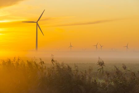 Sun shines on wind turbines in a foggy field at sunrise in summerの写真素材